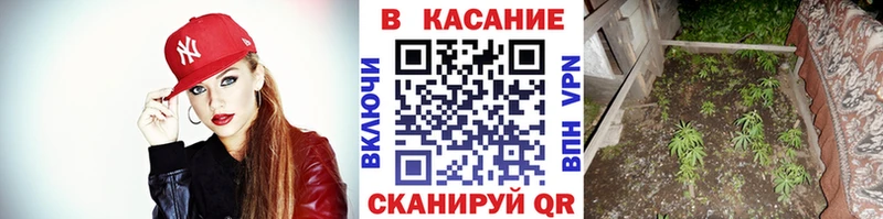 Магазин наркотиков Плёс COCAIN  Гашиш 
