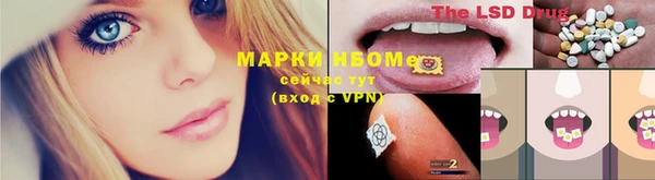 ПСИЛОЦИБИНОВЫЕ ГРИБЫ Аркадак