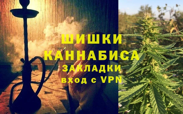 ПСИЛОЦИБИНОВЫЕ ГРИБЫ Аркадак