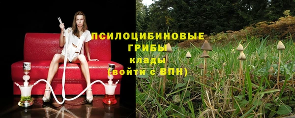 ПСИЛОЦИБИНОВЫЕ ГРИБЫ Аркадак