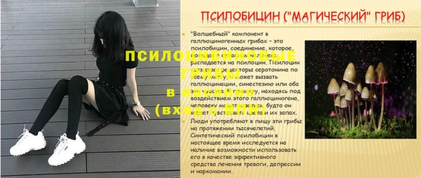 ПСИЛОЦИБИНОВЫЕ ГРИБЫ Аркадак