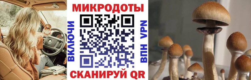 купить наркотик  сайты даркнета Telegram  Галлюциногенные грибы Psilocybine cubensis  Плёс 